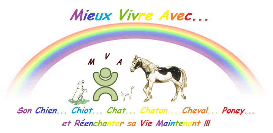 Coach Comportementaliste HumAnimal