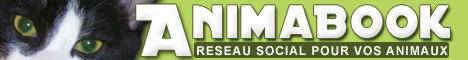 Animabook - R&eacute;seau Social