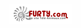 Furty