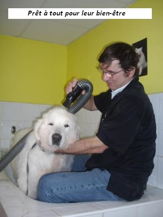 Lady Beaut&eacute; - 18500 Mehun/Y&egrave;vre