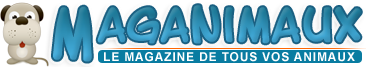 Maganimaux