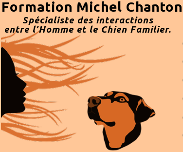 D&eacute;finition du Comportementaliste - Michel Chanton