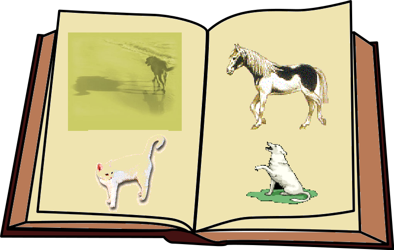 ALBUM "La Pet Family"