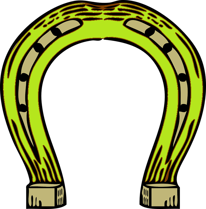 Consultation en Communication HumAnimale