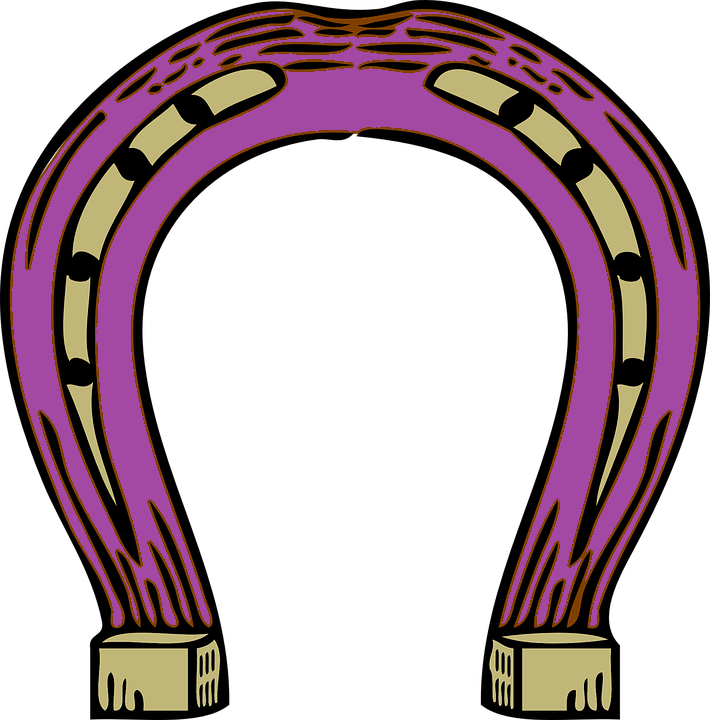 Consultation en M&eacute;diation HumAnimale